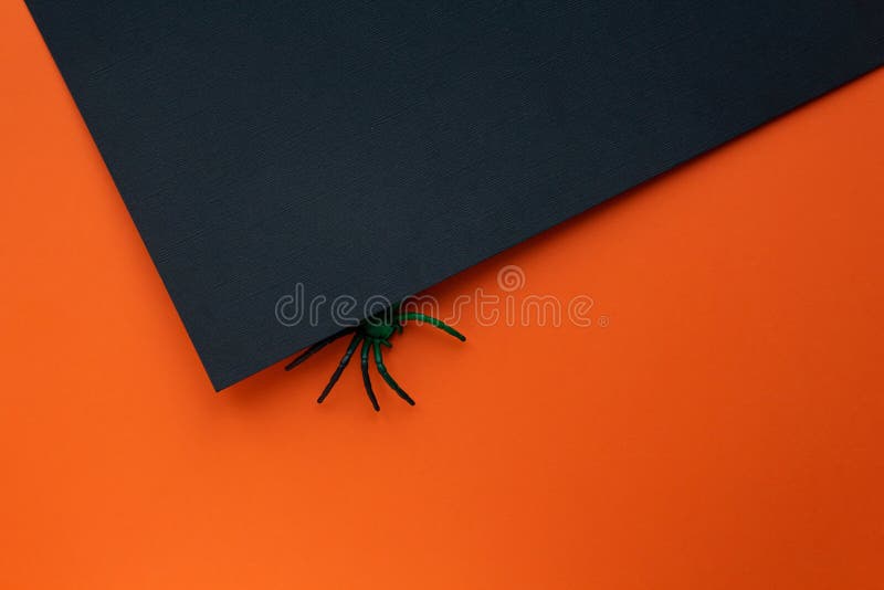 Halloween-Konzept Orangefarbener schwarzer Hintergrund mit Spinne. Halloween-Konzept Schwarze Spinne krabbeln aus schwarzem Hintergrund