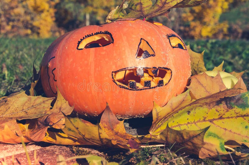 Halloween-Kürbis mit Blättern lizenzfreie stockbilder Halloween-Kürbis mit Blättern lizenzfreie stockbilder