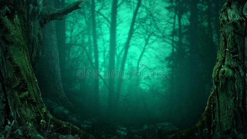 Old mossy trees on blue misty scary forest background