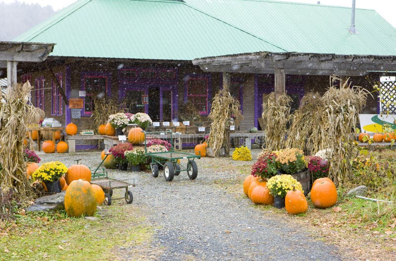 Halloween in Middlesex