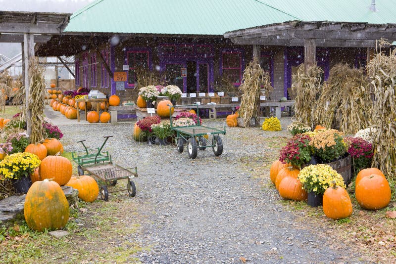 Halloween in Middlesex, Vermont, USA