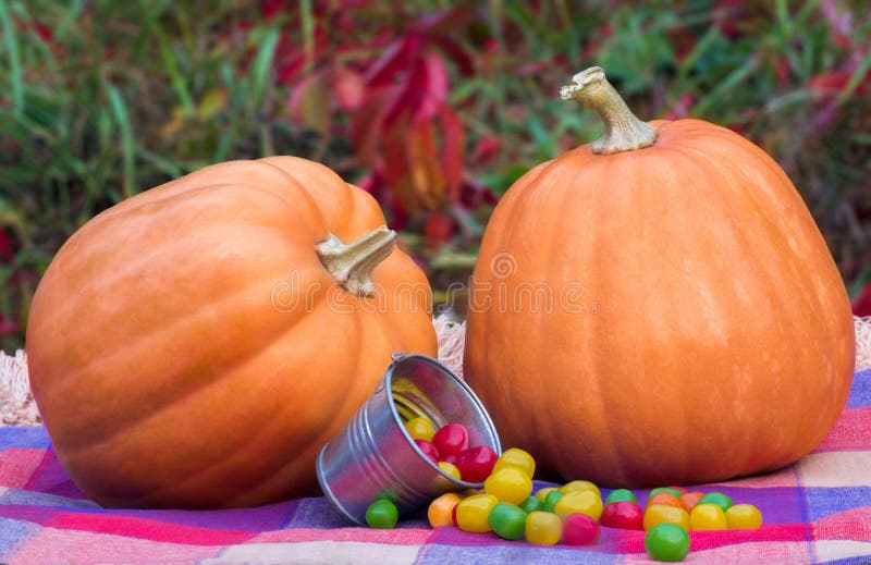 Halloween Orange Pumpkins and Colorful Candy in a Bucket Stock Photo