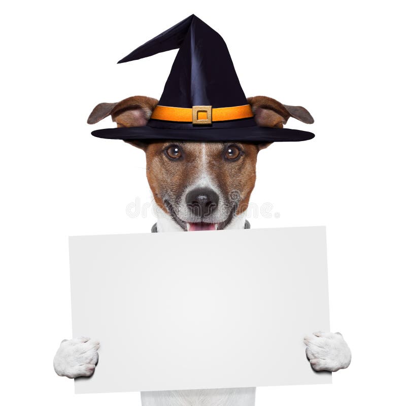 Halloween placeholder banner dog with hat