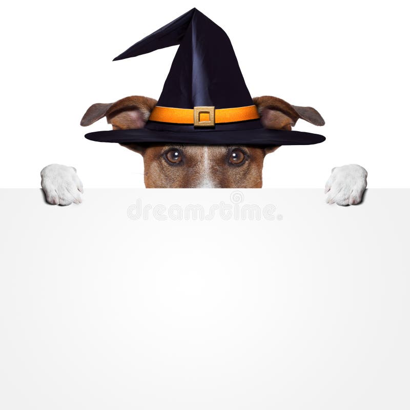 Halloween placeholder banner dog with hat