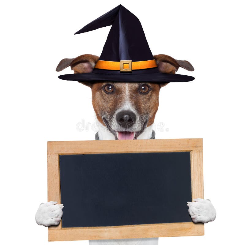 Halloween placeholder banner dog with hat