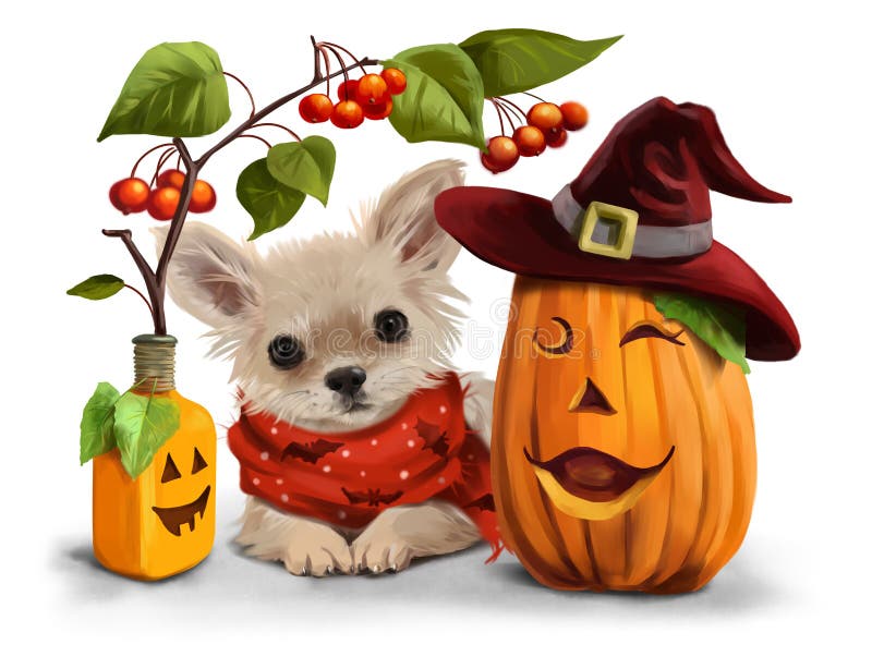 Halloween pour des chiwawas illustration stock Halloween pour des chiwawas illustration stock