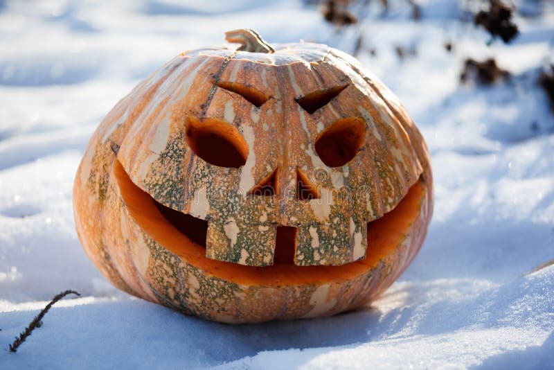 Halloween pumpkin royalty free stock photo Halloween pumpkin royalty free stock photo