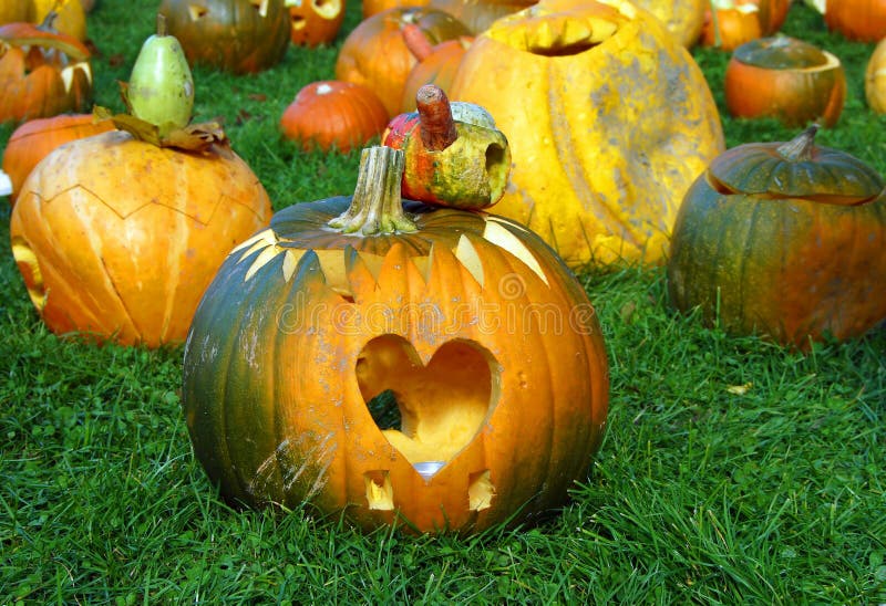 Pumpkin Heart With Healthy Foods Fall Harvest Stock Image - Image of