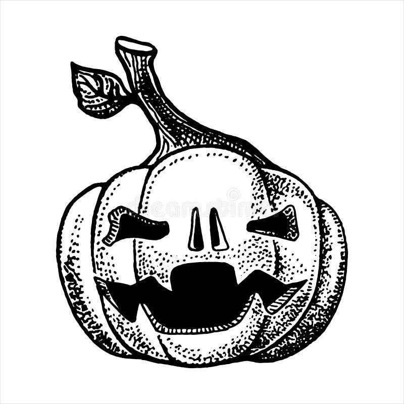 Halloween Pumpkin Hand Drawn Sketch Stock Vector Illustration of