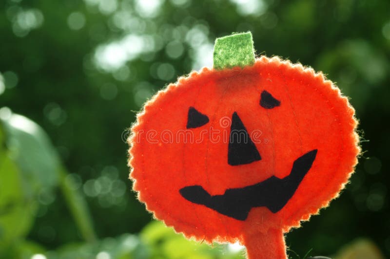 Halloween Pumpkin Jack O-lantern stock photo