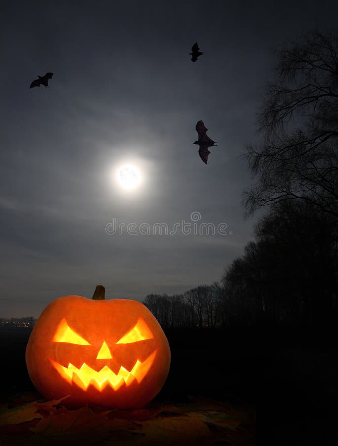 Halloween Night In Mysterious Forest With Fog Stock Image Image of