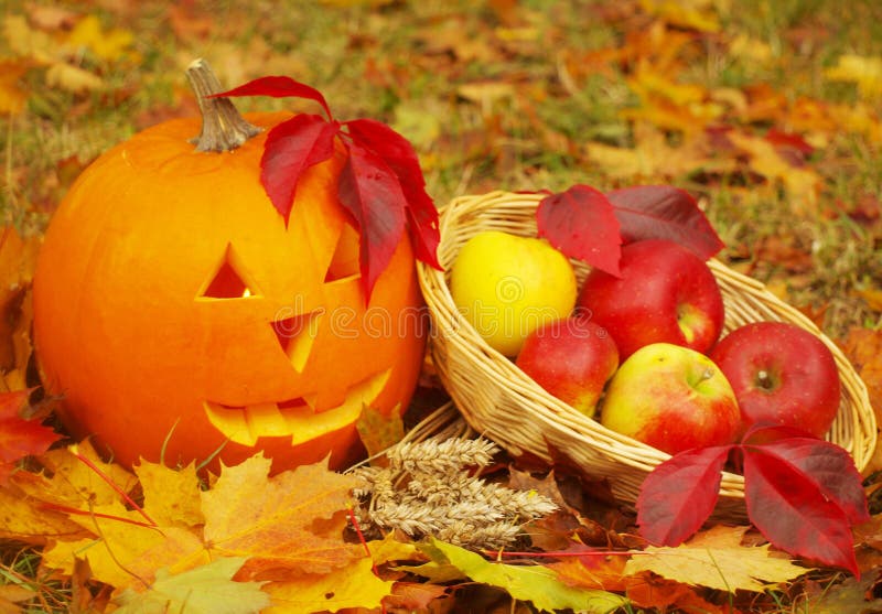 Halloween pumpkins