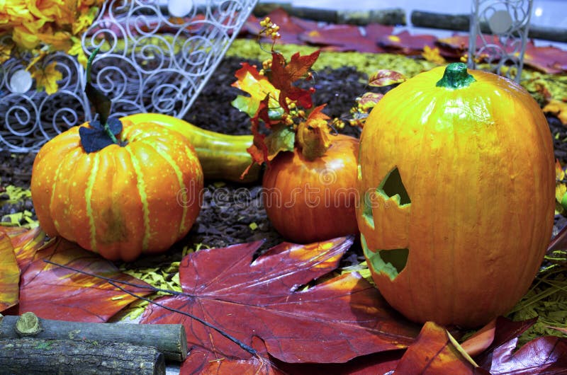 Halloween Scene on Dark Background Stock Image Image of illuminated