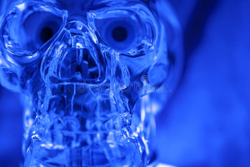 Halloween skull illuminated in blue royalty free stock photos Halloween skull illuminated in blue royalty free stock photos