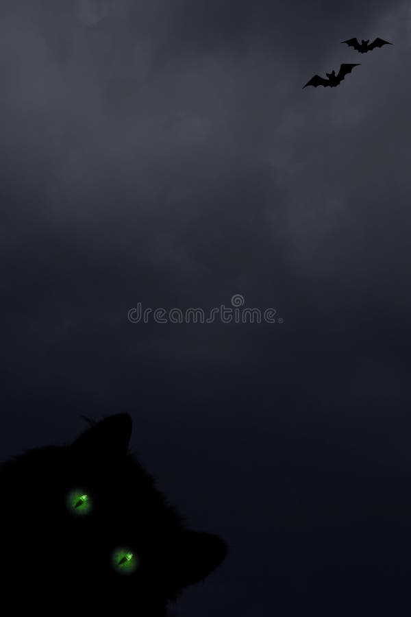 Halloween vertical background with black cat with green eyes, silhouettes of bats