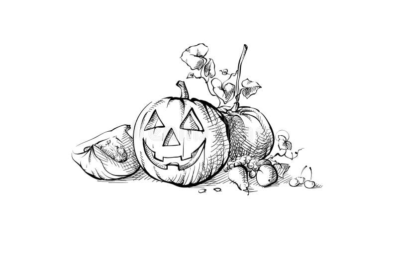 Halloweenowy symbolu bani wciąż życie ilustracji Halloweenowy symbolu bani wciąż życie ilustracji
