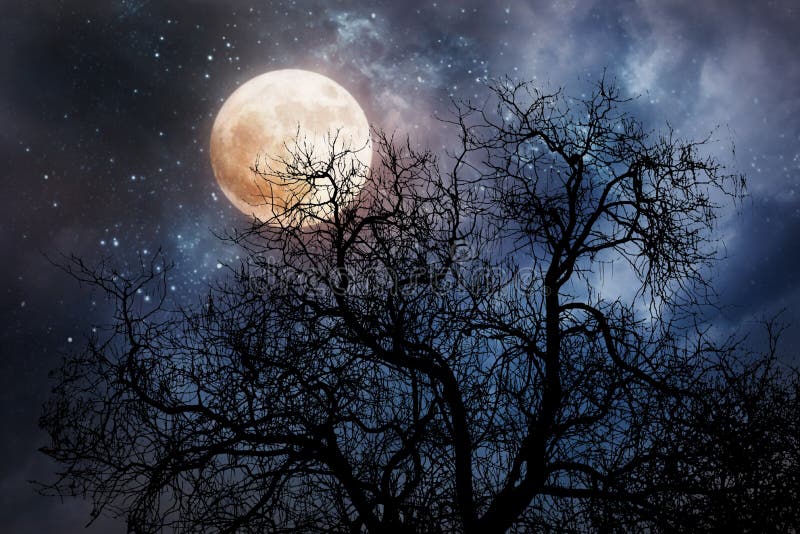 Halloweenowy tło z księżyc i nieżywym drzewem