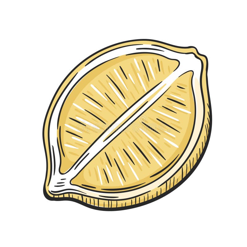 Halv citron isolerad på vit bakgrund stock illustrationer