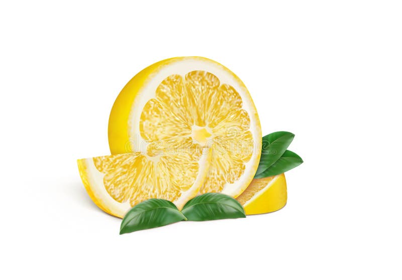 Halv citron med citronskivor och blad med vit bakgrund. stock illustrationer