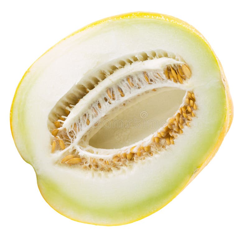 Halva av melon som isoleras på den vita bakgrunden royaltyfri bild Halva av melon som isoleras på den vita bakgrunden royaltyfri bild
