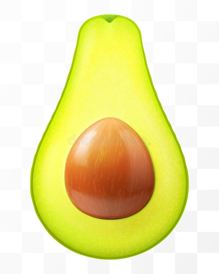 Halva avokado med sten isolerad på en genomskinlig bakgrund. färsk frukavokado för hälsosam kost. realistisk 3d stock illustrationer