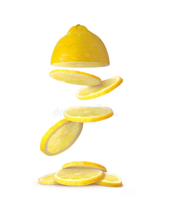 Halva citron och fallskivor av citron vektor illustrationer