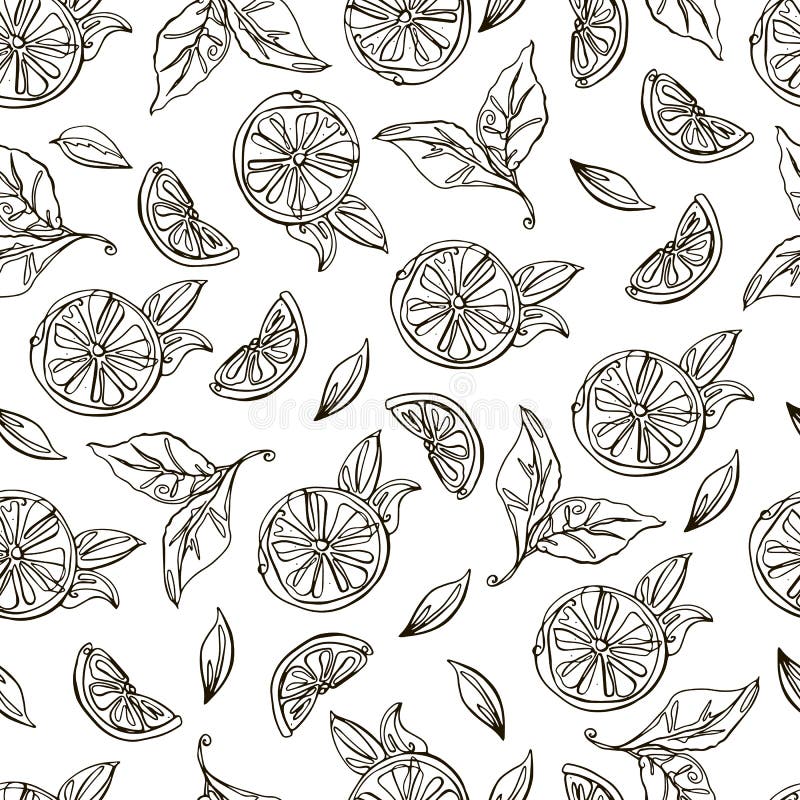 Halvcitron, sömlöst mönster på vit bakgrund. handdragen. vektor vektor illustrationer