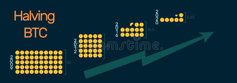 Halving bitcoin. A visual representation of how bitcoins are shared every four years. Creative blockchain technology banner for royalty free illustration
