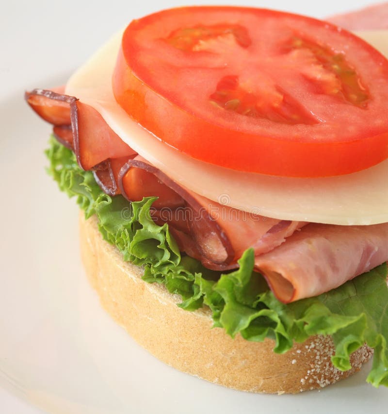 63,799 Ham Cheese Sandwich Stock Photos Free & RoyaltyFree Stock