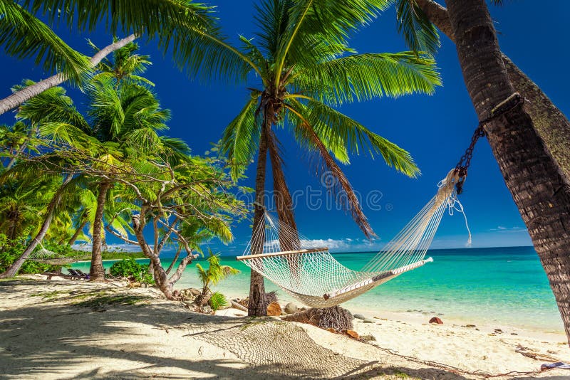 Hamac vide à la nuance des palmiers sur les Fidji tropicaux