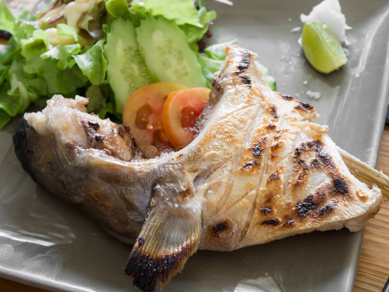 Hamachi Kama Grilled stock photo. Image of grill, gravy 36495086