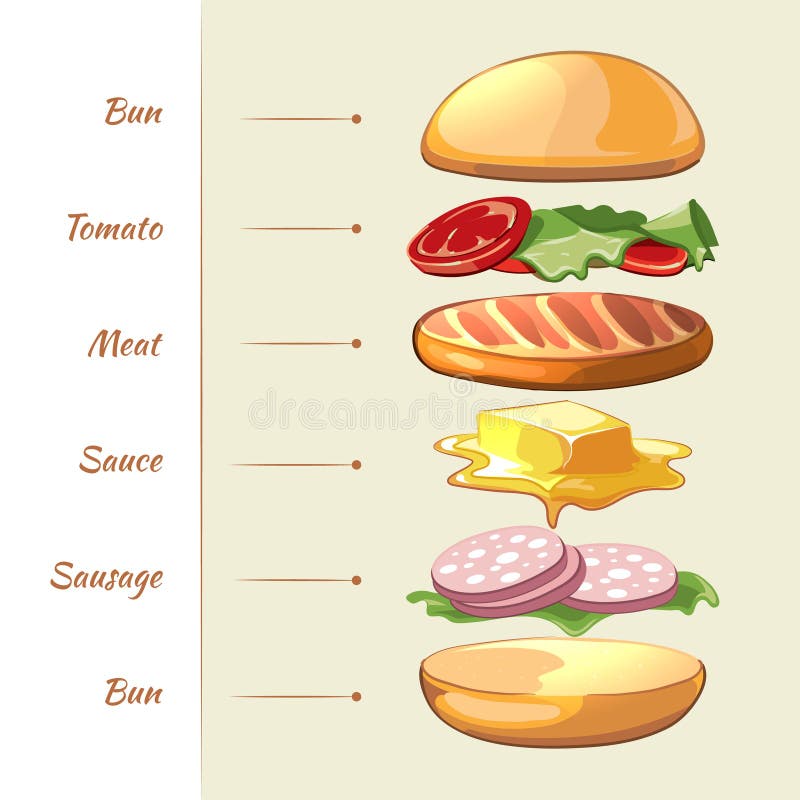 Hamburger ingredients. Vector infographics. Hamburger food, hamburger snack, hamburger illustration illustration. Hamburger ingredients. Vector infographics. Hamburger food, hamburger snack, hamburger illustration illustration