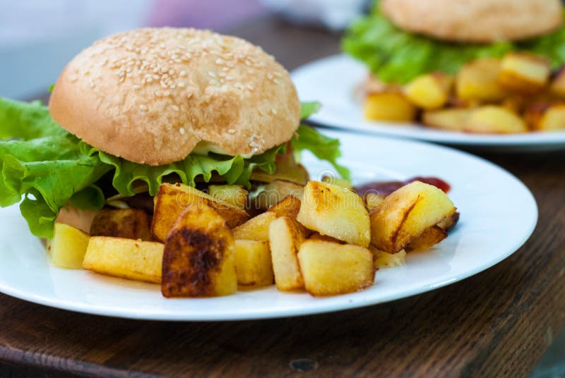 Hamburger and Fried Potatoes on a White Plate Stock Image Image of