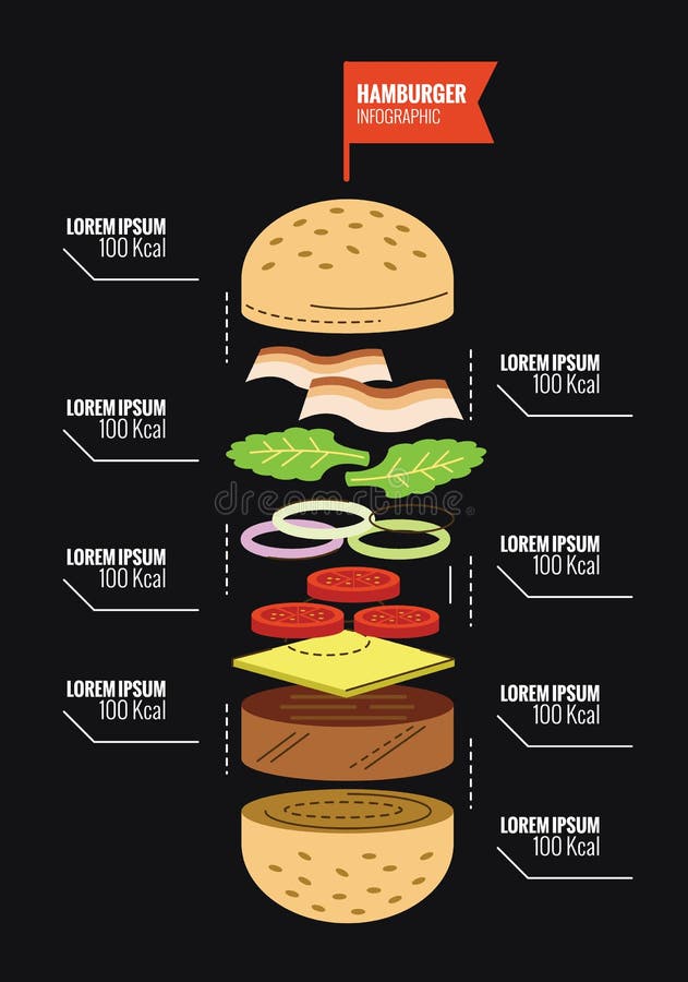 Hamburger Ingredient and Calorie Info Graphics. Stock Vector