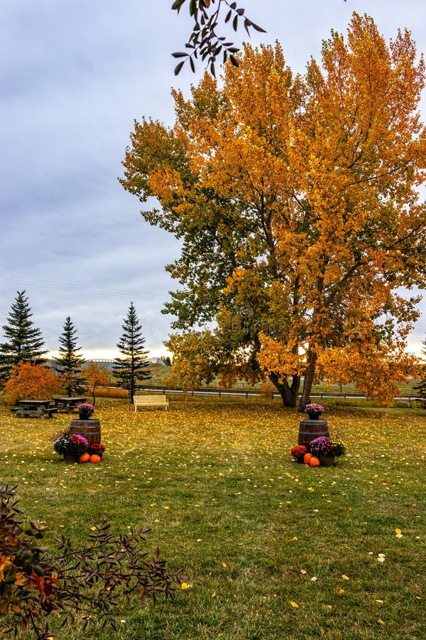 The Hamlet of De Winton in Foothills County Alberta Canada Stock Image