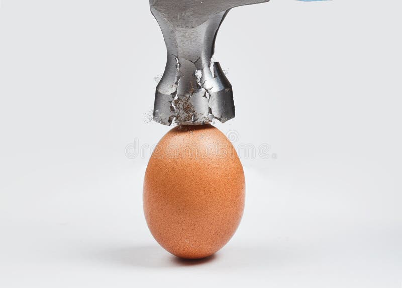 Hammer is breaking chicken egg. Concept of strength, durability, stress resistance, fortitude.