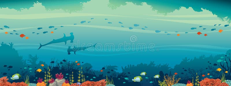 Hammerhead shark, fish, coral reef, underwater sea. Underwater cave and marine wild life. Silhouette of two hammerhead shark, school of fish and coral reef on a vector illustration Hammerhead shark, fish, coral reef, underwater sea. Underwater cave and marine wild life. Silhouette of two hammerhead shark, school of fish and coral reef on a vector illustration