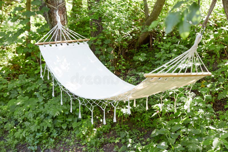 Hammock in a Beautiful Forest Stock Photo Image of concepts, light