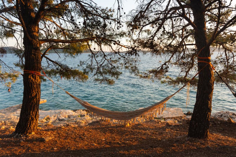 Hammock bunden mellan två träd som bortser från ett stillastående hav vid solnedgången omgiven av naturen. arkivbild