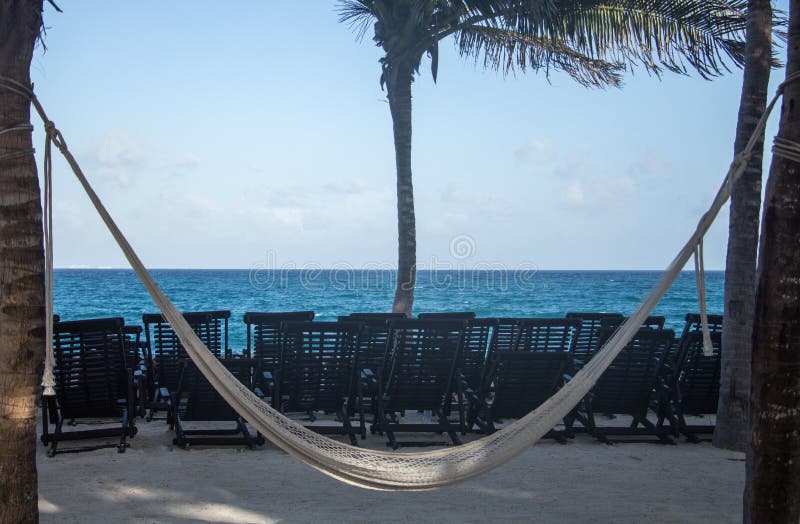 Beach Palms Hammock Chairs Stock Photos Free & RoyaltyFree Stock