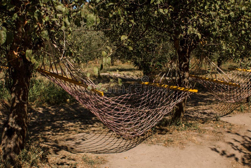 Hammock Netting on a Tree in the Park Stock Photo - Image of grid, hammock:  195451564