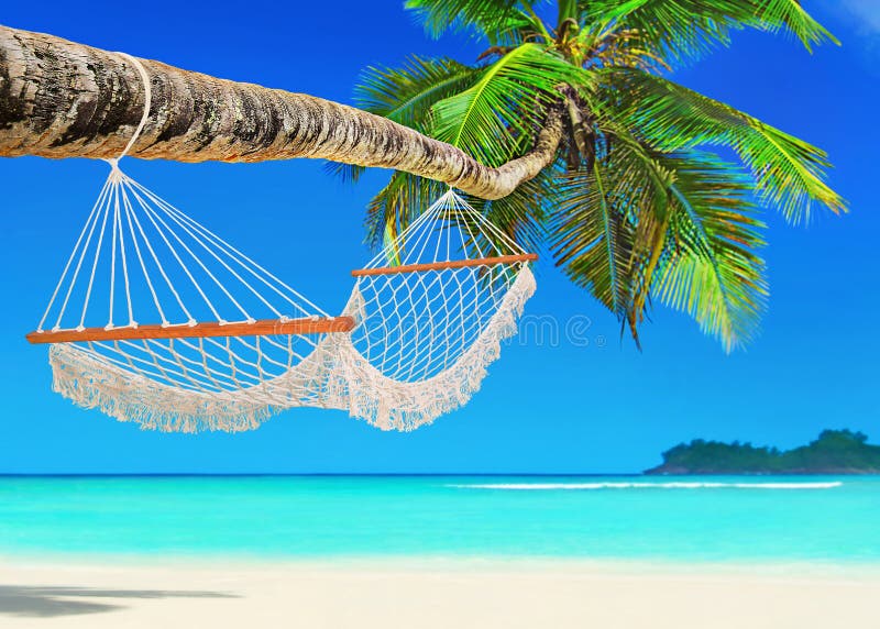 Hammock on perfect palm beach Baie Lazare, Mahe island, Seychelles