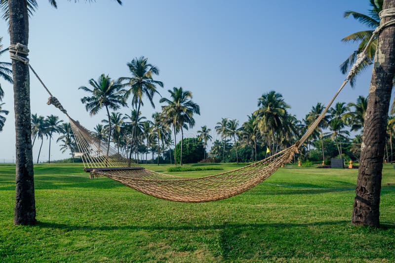Hammock på tropisk strand, varm soldag arkivbild Hammock på tropisk strand, varm soldag arkivbild