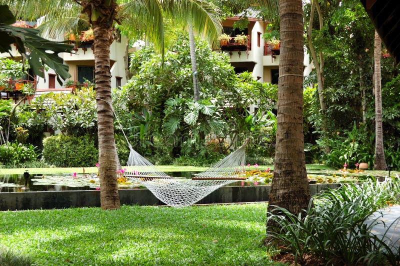 Hammock at the Recreation Area of Luxury Hotel Stock Image Image of