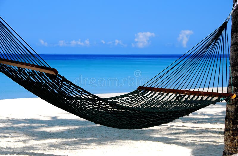Hammock By The Sea Stock Images Image 5347954