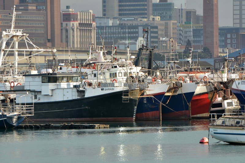 Hamn elizElizabeth South africa royaltyfria foton
