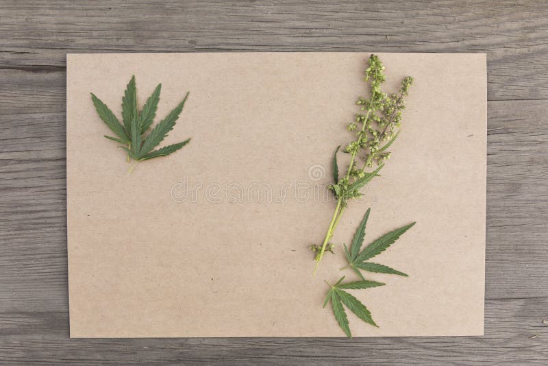 Hampasidor och blommor med tomt papper för hantverk på träbakgrund för gammal grunge Top beskådar Minimalistic modell royaltyfria foton Hampasidor och blommor med tomt papper för hantverk på träbakgrund för gammal grunge Top beskådar Minimalistic modell royaltyfria foton