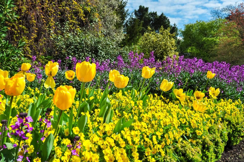 Hampton Court garden in spring, London, UK