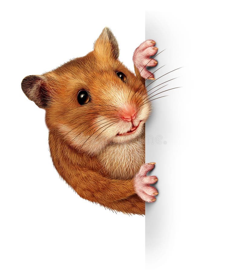 Hamster die een Lege Kaart houdt