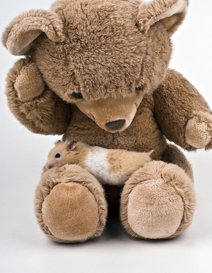 Hamster sitting on a brown teddy bear.